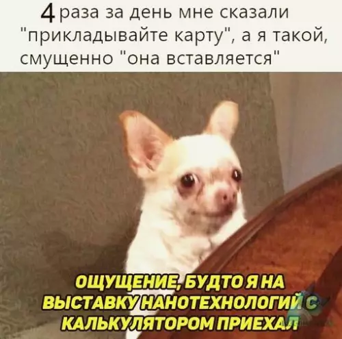 Смешная картинка №312604