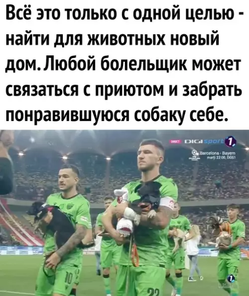продолжение Смешная картинка №599732 Реально молодцы) доброта