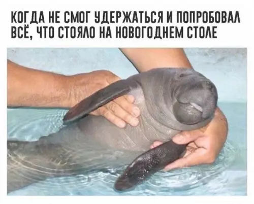 Смешная картинка №236259