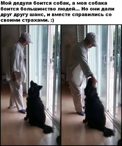 Смешная картинка №226085
