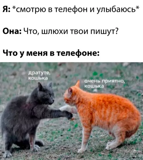 Смешная картинка №708678