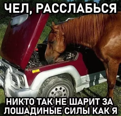 Смешная картинка №785098