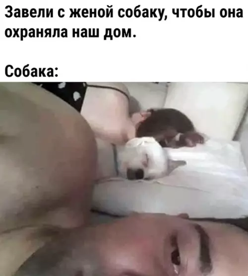 Смешная картинка №470593 ?