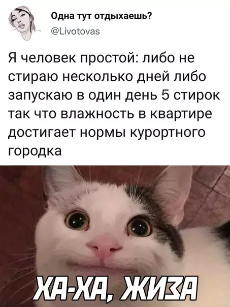 Смешная картинка №601641