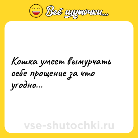 Шутка: Кошка умеет вымурчать себе прощение за что угодно...