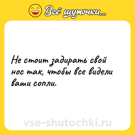Шутка: Не стоит задирать свой нос так, чтобы все видели ваши сопли.