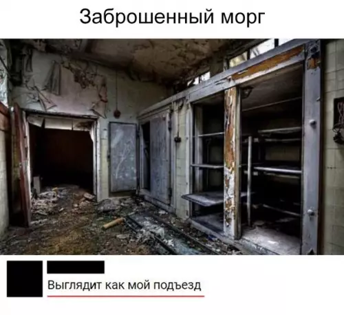 Смешная картинка №372640