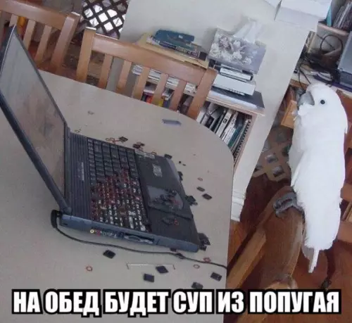 Смешная картинка №265511