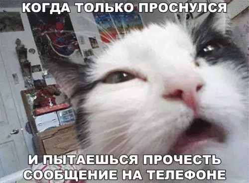 Смешная картинка №207706