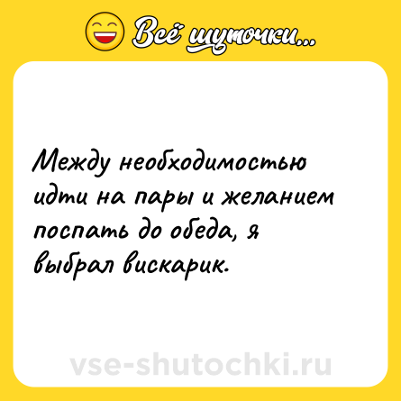 Шутка: Между необходимостью идти на пары и желанием поспать до обеда, я выбрал вискарик.