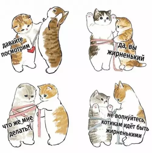 Смешная картинка №551617 Давaйтe пocмотрим!