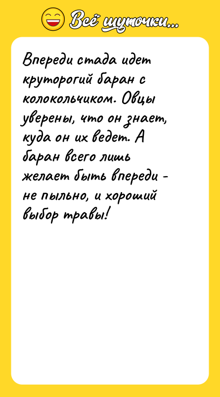 Впереди стада идет круторогий баран с колокольчиком. Овцы уверены, что