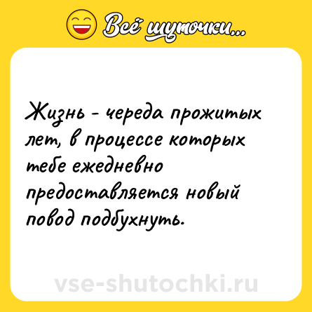 Шутка: Жизнь - череда прожитых лет, в процессе которых тебе ежедневно предоставляется новый повод подбухнуть.