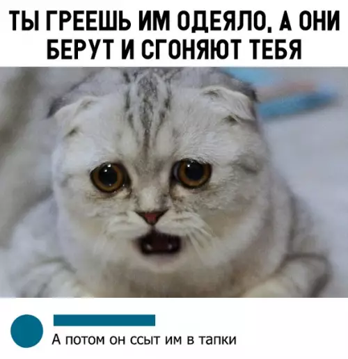 Смешная картинка №317936