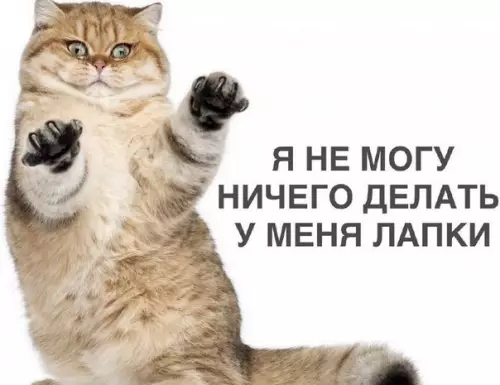 Смешная картинка №193865 - Когда ты уже найдешь себе работу?<br>-