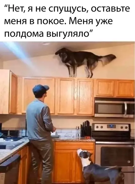 Смешная картинка №481486