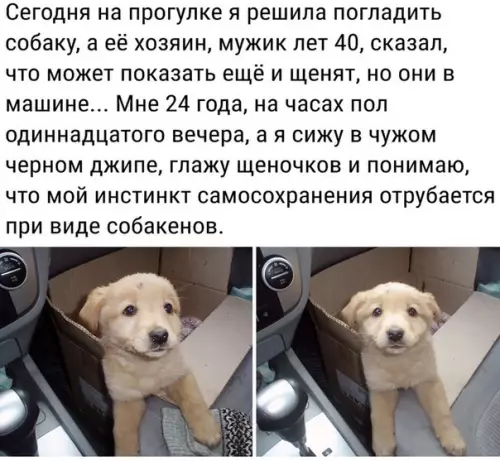 Смешная картинка №484741 Приходится идти на риск собаки