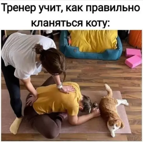 Смешная картинка №784144