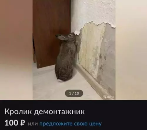 Смешная картинка №706244 Не торопите его, пожалуйста, парень старается как может