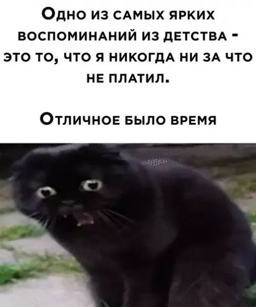 Смешная картинка №538851