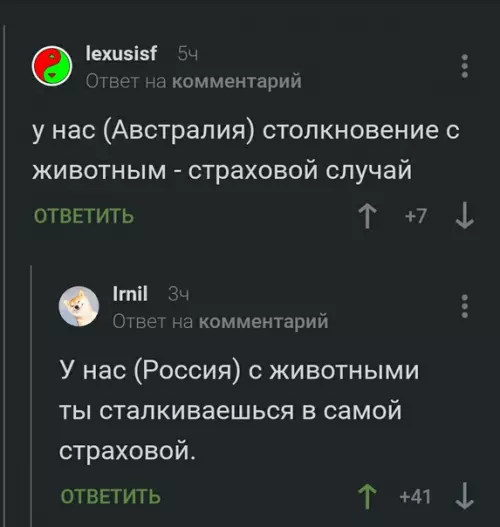 Смешная картинка №295591 Животные бывают разными