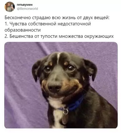 Смешная картинка №452695