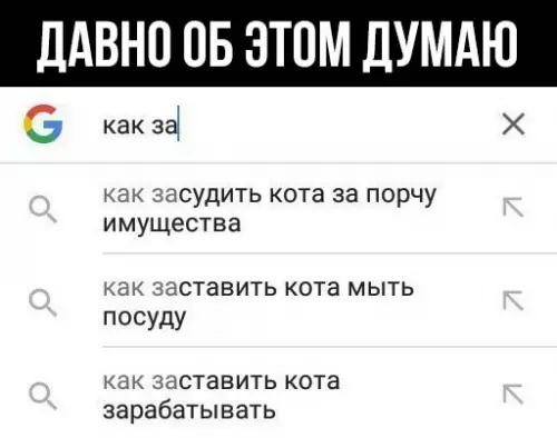Смешная картинка №284460 кот, кошки