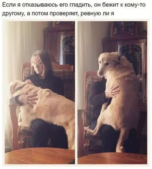 Смешная картинка №203532