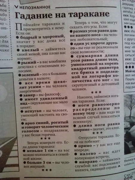 Смешная картинка №192657 тараканы