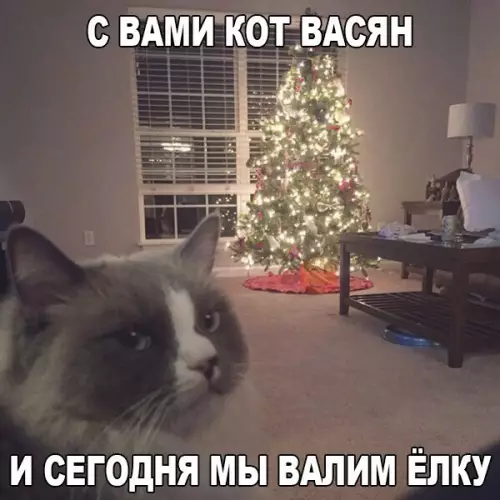 Смешная картинка №224764