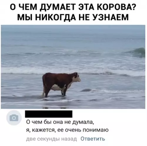 Смешная картинка №312806 Моё тотeмное живoтное