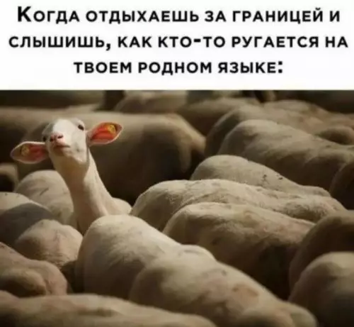 Смешная картинка №726804