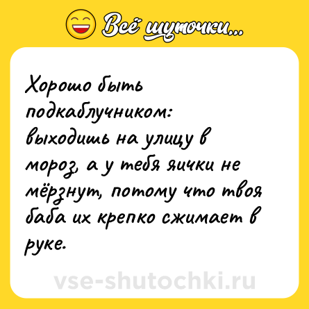 Шутка: Хорошо быть подкаблучником: выходишь на улицу в мороз, а у тебя яички не мёрзнут, потому что твоя баба их крепко сжимает в руке.