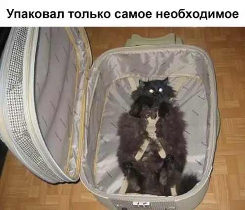 Смешная картинка №342102
