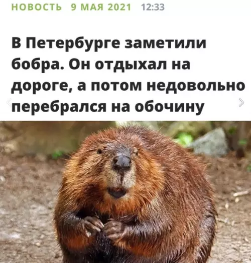 Смешная картинка №572327 К действительно важным новостям