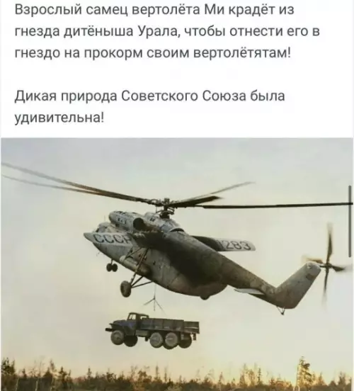 Смешная картинка №781137