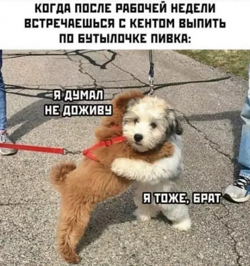 Смешная картинка №786589