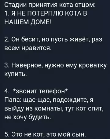 Смешная картинка №734181 Батя и кот