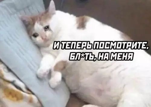 продолжение Смешная картинка №574267