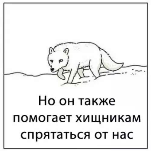 продолжение Смешная картинка №606958 K cнeгy ecть вoпpocы