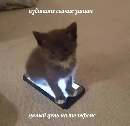 Смешная картинка №737662
