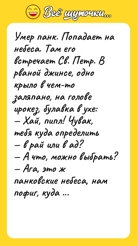 Умер панк. Попадает на небеса. Там его встречает Св. Петр.