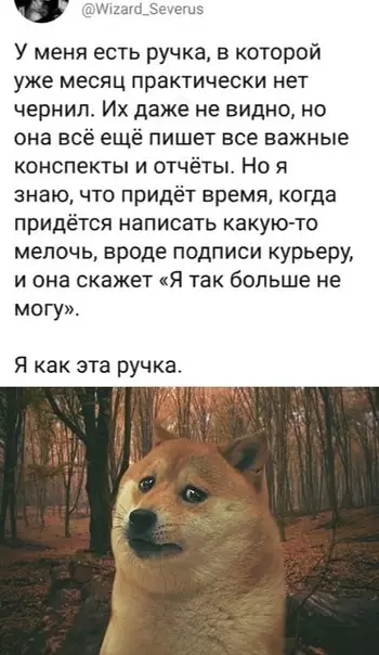Смешная картинка №538880 Печально.