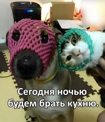 Смешная картинка №743878