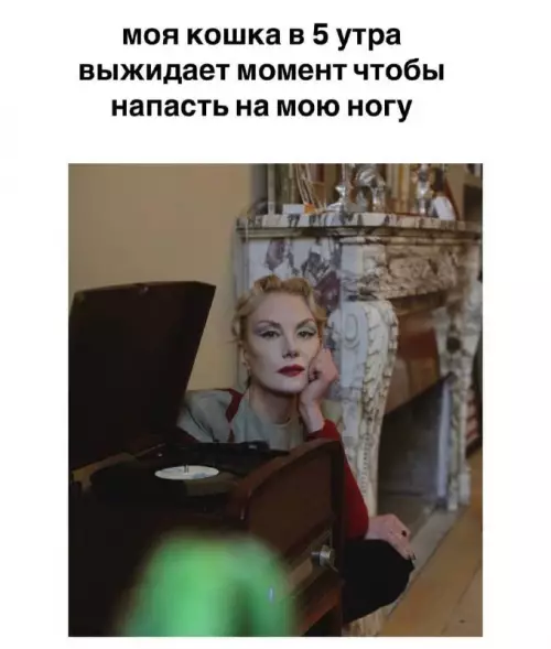 Смешная картинка №731315 кошки
