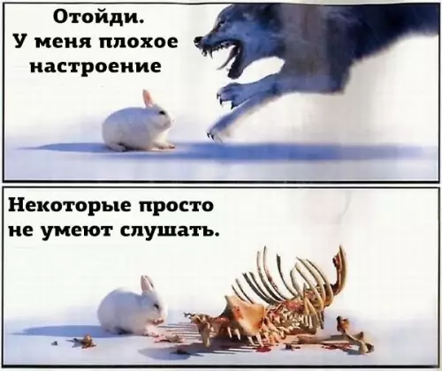 Смешная картинка №284034