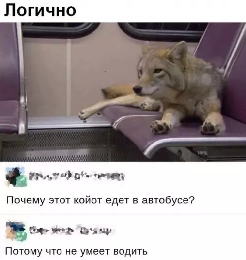 Смешная картинка №223279