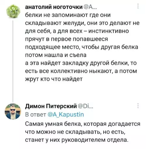 Смешная картинка №686018