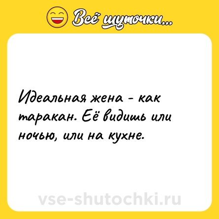 Шутка: Идеальная жена - как таракан. Её видишь или ночью, или на кухне.