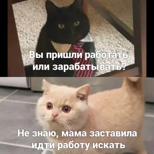Смешная картинка №546948